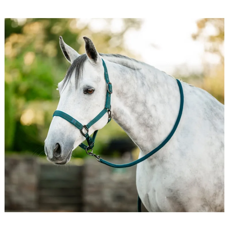 Horseware HORSEWARE Halfter und Führstrick