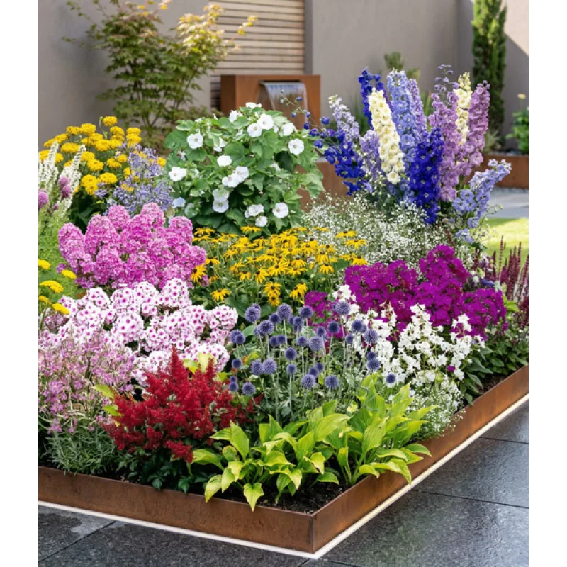 BALDUR-Garten 12er Buntes Staudenbeet 'Multi-Colour'